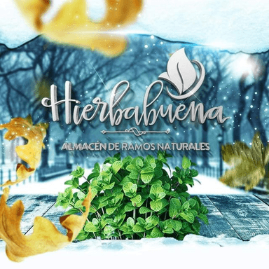 HIERBA BUENA ALMACEN DE RAMOS NATURALES